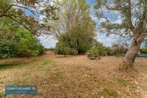 Garden- click for photo gallery